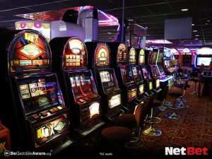 55c|Bingo Online – Descubra Agora no Site de Apostas